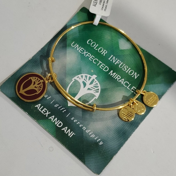 Alex and Ani Unexpected Miracles Color Infusion br - Picture 2 of 5
